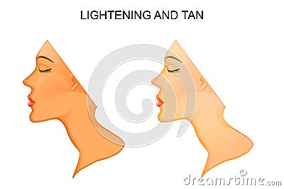 Tanning and skin lightening. Vector Illustration
