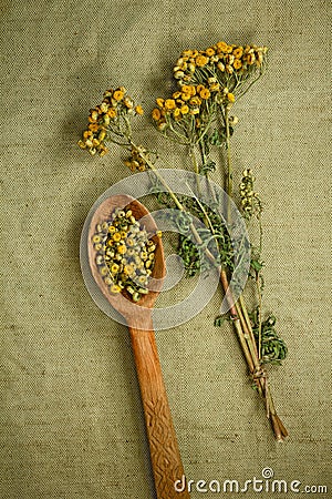 Tansy. Dried. Herbal medicine, phytotherapy medicinal herbs. Stock Photo