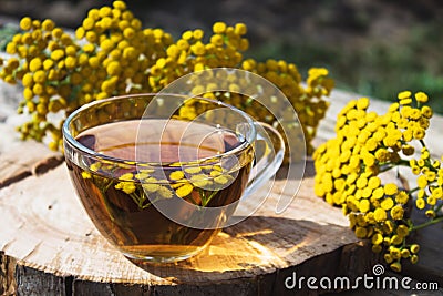 Tansy infusion in a glass cup and yellow tansy flowers on a wooden table. Tansy Herbal tea. Healing herbs Stock Photo