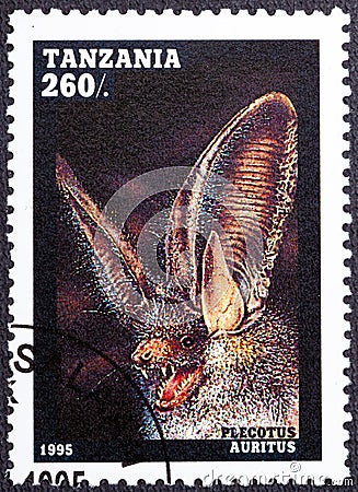 TANZANIA - CIRCA 1995: A stamp printed in Tanzania shows Plecotus auritus, Bats serie, circa 1995 Editorial Stock Photo