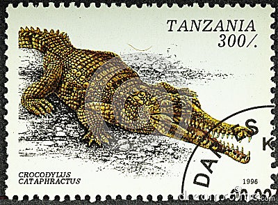 TANZANIA - CIRCA 1996: A stamp printed in Tanzania depicts a Crocodylus Cataphractus crocodile, circa 1996 Editorial Stock Photo