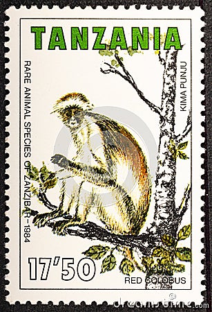 TANZANIA - CIRCA 1985: a stamp printed in Tanzania shows Red Colobus, Piliocolobus, Old World Monkey, circa 1985 Editorial Stock Photo