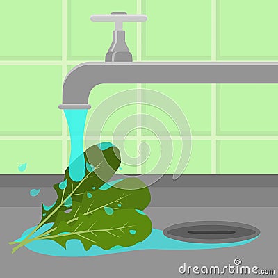 Tap washing arugula Vector Illustration