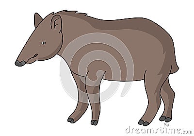 Tapir illustration vector.Cartoon tapir Vector Illustration