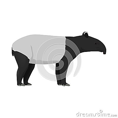 Tapirus indicus - Malayan tapir - Lateral view Vector Illustration