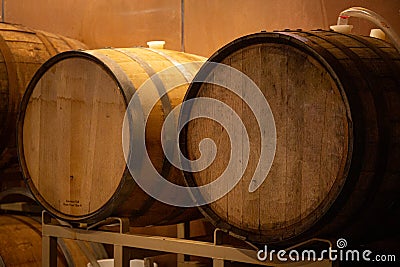 Tapped Wooden Casks of Undetermined Wood Sit in a Vault Stock Photo