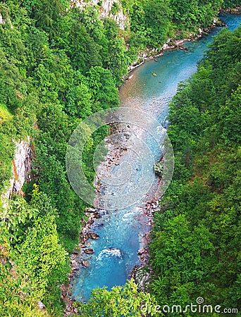 Tara River Stock Photo