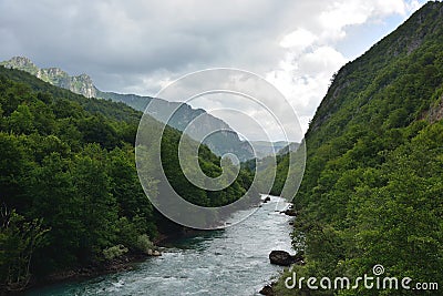 Tara river Stock Photo