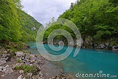 Tara river in spring, Montenegro Stock Photo