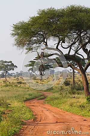 Tarangire road Stock Photo