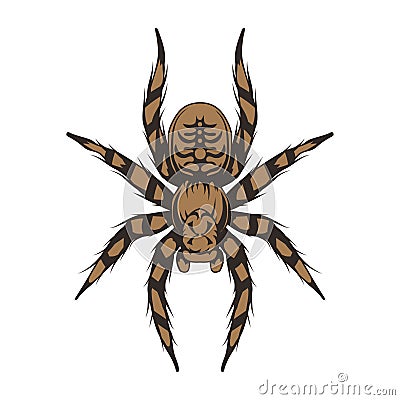 Tarantula. Exotic pets. Halloween. Spider or arachnid species. Dangerous insects Vector Illustration