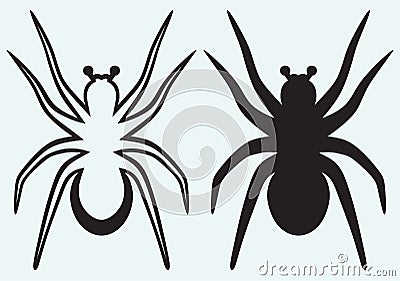 Tarantula spider Vector Illustration