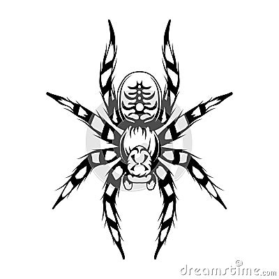 Tarantula. Exotic pets. Halloween. Spider or arachnid species. Dangerous insects Vector Illustration