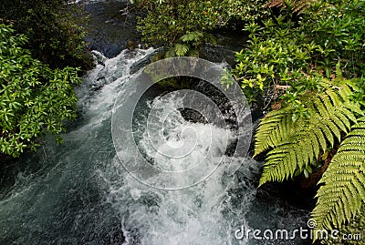 Tarawera River, New Zealand Stock Photo