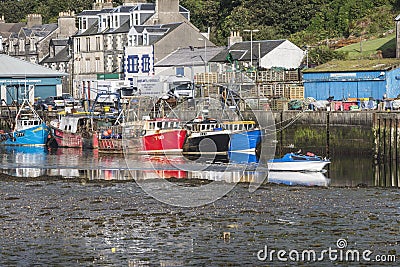 Tarbert Harbor in Argyll, Scotland. Editorial Stock Photo