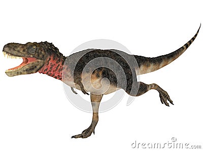 Tarbosaurus Stock Photo