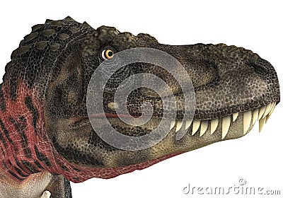 Tarbosaurus head Cartoon Illustration