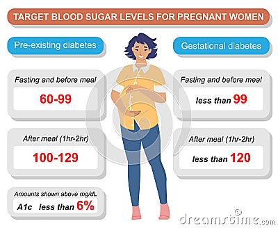 Target blood sugar level for pregnant woman vector Vector Illustration