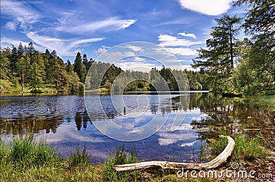 Tarn Hows Stock Photo