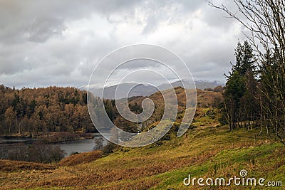 Tarn Hows Stock Photo