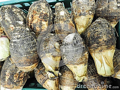 Taro, a starchy root vegetable, is beloved for its versatile nature and unique flavor profile. Stock Photo