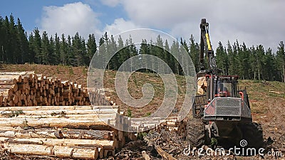 TARRALEAH, AUSTRALIA- JANUARY, 6, 2017: rear view of a crane arm unloading pine logs in tasmania Editorial Stock Photo