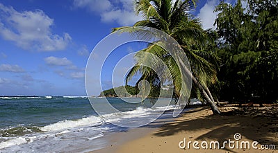 Tartane beach, Martinique Stock Photo