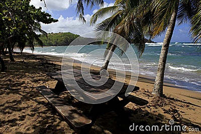 Tartane beach, Martinique, la caravelle Stock Photo