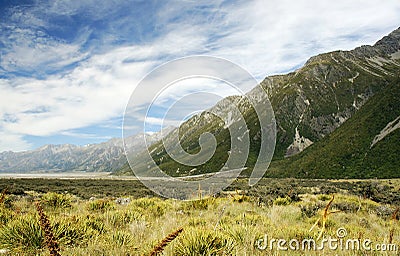 Tasman Glacier Valley Stock Photo