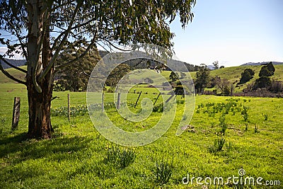 Tasmanian farmland Stock Photo