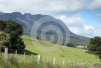 Tasmanian green pastures Stock Photo