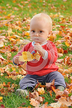 Taste of autumn Stock Photo