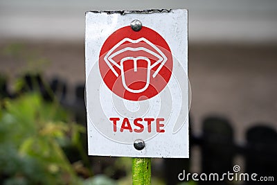 Taste Sign from Sensory Garden For Children Stock Photo