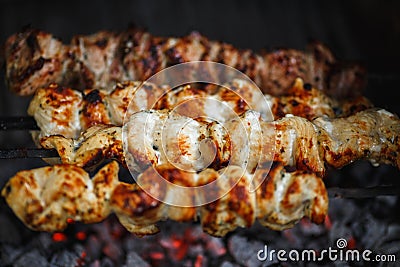 Tasteful picnic food, hot chicken barbecue, shashlik, kebab, skewer on the grill Stock Photo