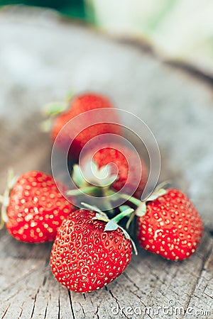 Tasty Beautiful Strawberries. Organic Berries Closeup. Juicy Fre Stock Photo