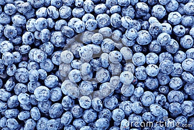 Tasty blueberry as background Stock Photo