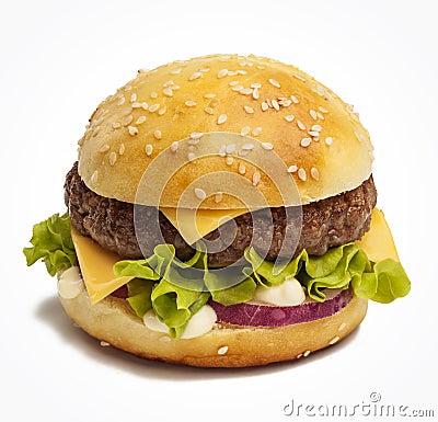 Tasty burger Stock Photo