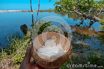 Tasty coco meat served inside the coco on the beach -FRUIT LOVE Stock Photo
