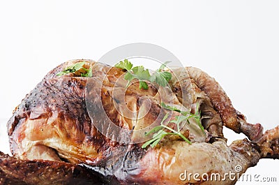 Close up grilled chicken,parsley on it against totaly white background Stock Photo