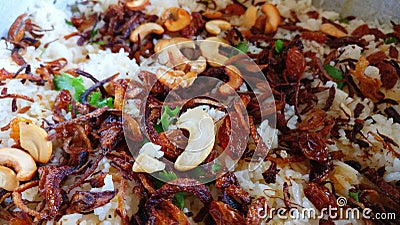 Tasty Indian biriyani Stock Photo