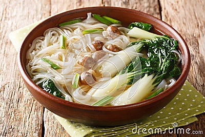Tasty noodle soup with mushrooms, green onions and bok choy closeup in a bowl. horizontal Stock Photo