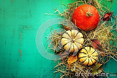 Tasty Orange Pumpkins on Hay Autumn Leaves on Beautiful Turquoise Background Top View Stock Photo