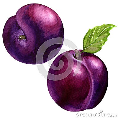 Tasty plums Stock Photo