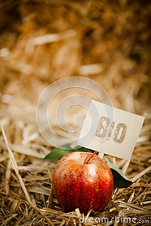 Tasty red apple on straw, tagged as Stock Photo