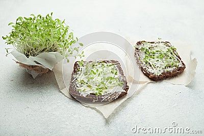 Tasty snacks with cream cheese and vegetable micro greens. Healthy vegetarian sandwiches Stock Photo