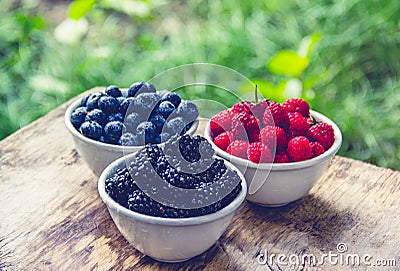 Tasty Summer Garden Berries. Organic Blueberry Raspberry Blackberries Stock Photo