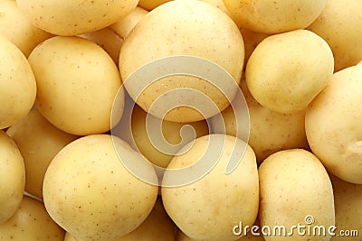 Tasty young potato on whole background, close up Stock Photo