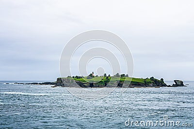 Tatoosh Island, Cape Flattery, Olympic Peninsula, Washington state coast, USA Stock Photo