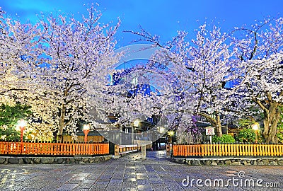 Tatsumibashi bridge and cherry trees Stock Photo