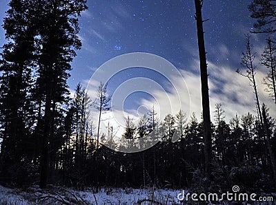Pleiades open star cluster on night sky and clouds over winter forest Stock Photo